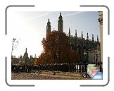 Cambridge (November 2007) * (17 Slides)